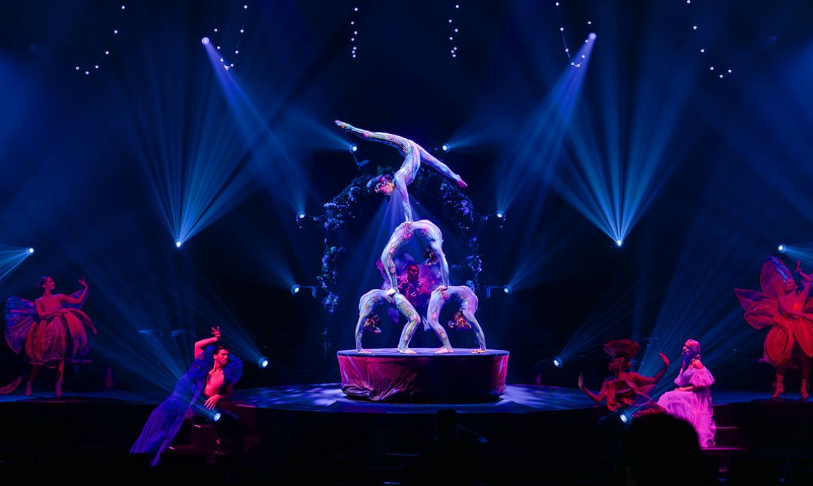 Cirque Alice Washington Pavilion